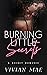 Burning Little Secrets