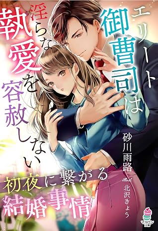 エリート御曹司は淫らな執愛を容赦しない 初夜に繋がる結婚事情 By 砂川雨路
