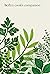 Herb: A Cook's Companion