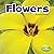 Flowers (Plant Parts)