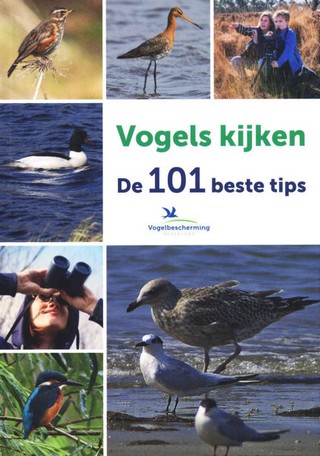 Vogels kijken: de 101 beste tips