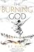 The Burning God (The Poppy War, #3)
