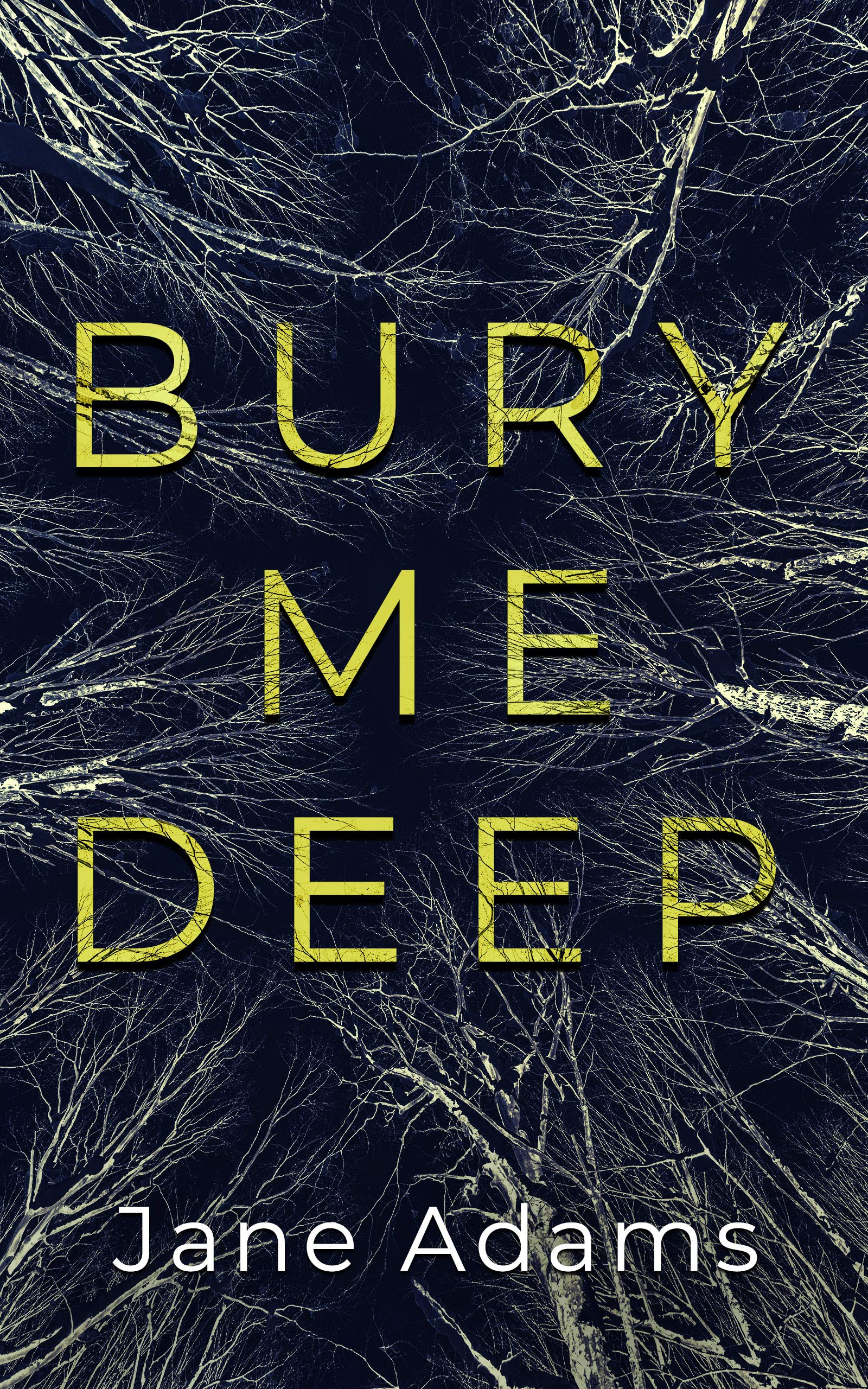 Bury Me Deep (Detective Rozlyn Priest, #1)