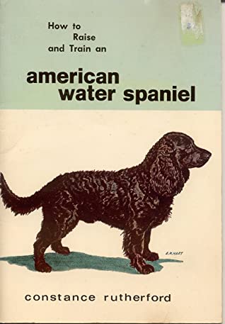 How to Raise and Train an American Water Spaniel