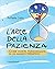 L'arte della pazienza: Come essere perseverante in un mondo frenetico