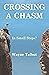Crossing a Chasm: In Small ...