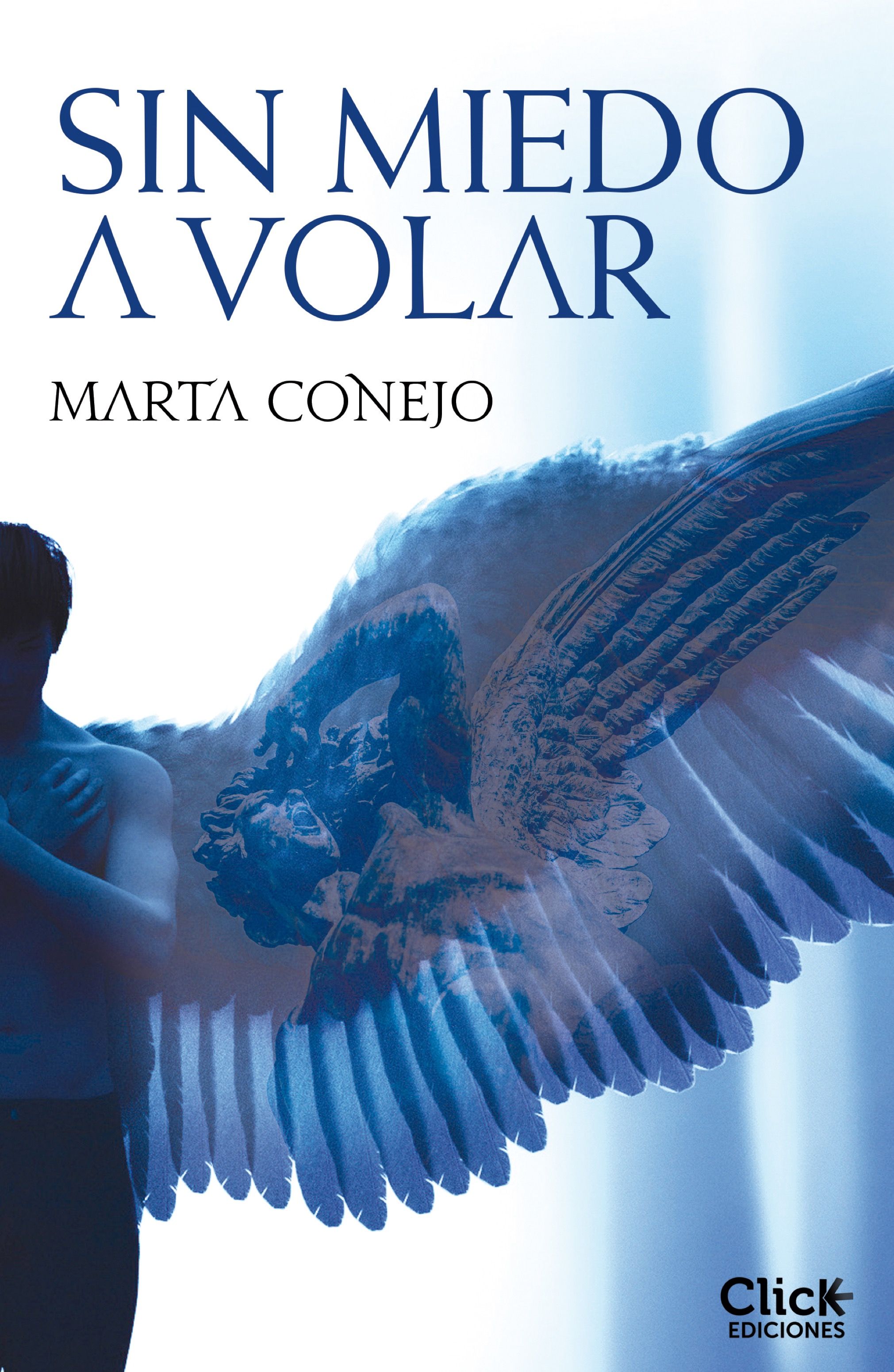 Sin miedo a Volar