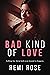 Bad Kind of Love (Love and Hate Book 1)