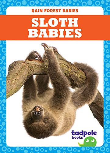 Sloth Babies (Tadpole Books: Rain Forest Babies)