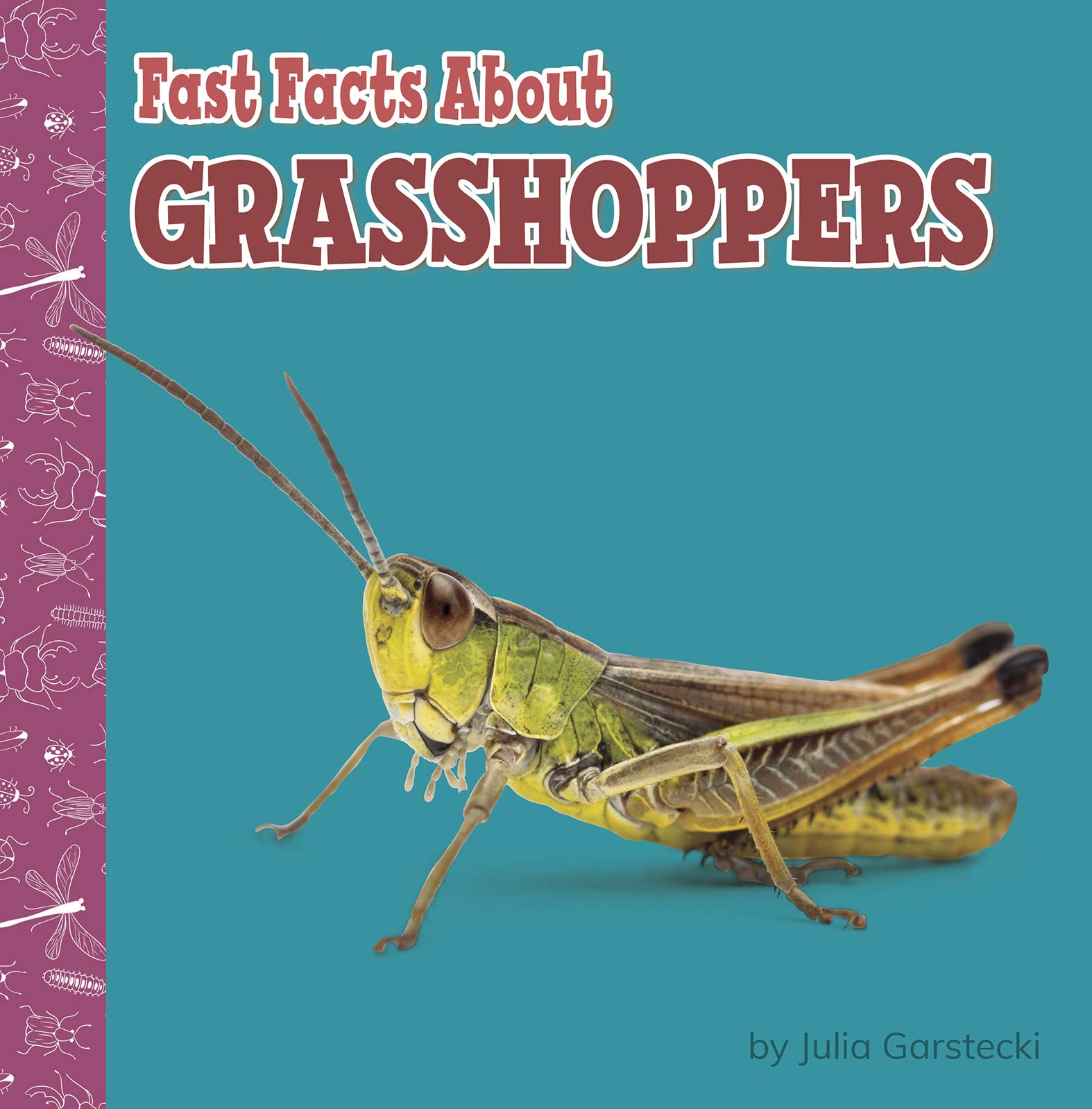 Fast Facts About Grasshoppers (Fast Facts About Bugs & Spiders)