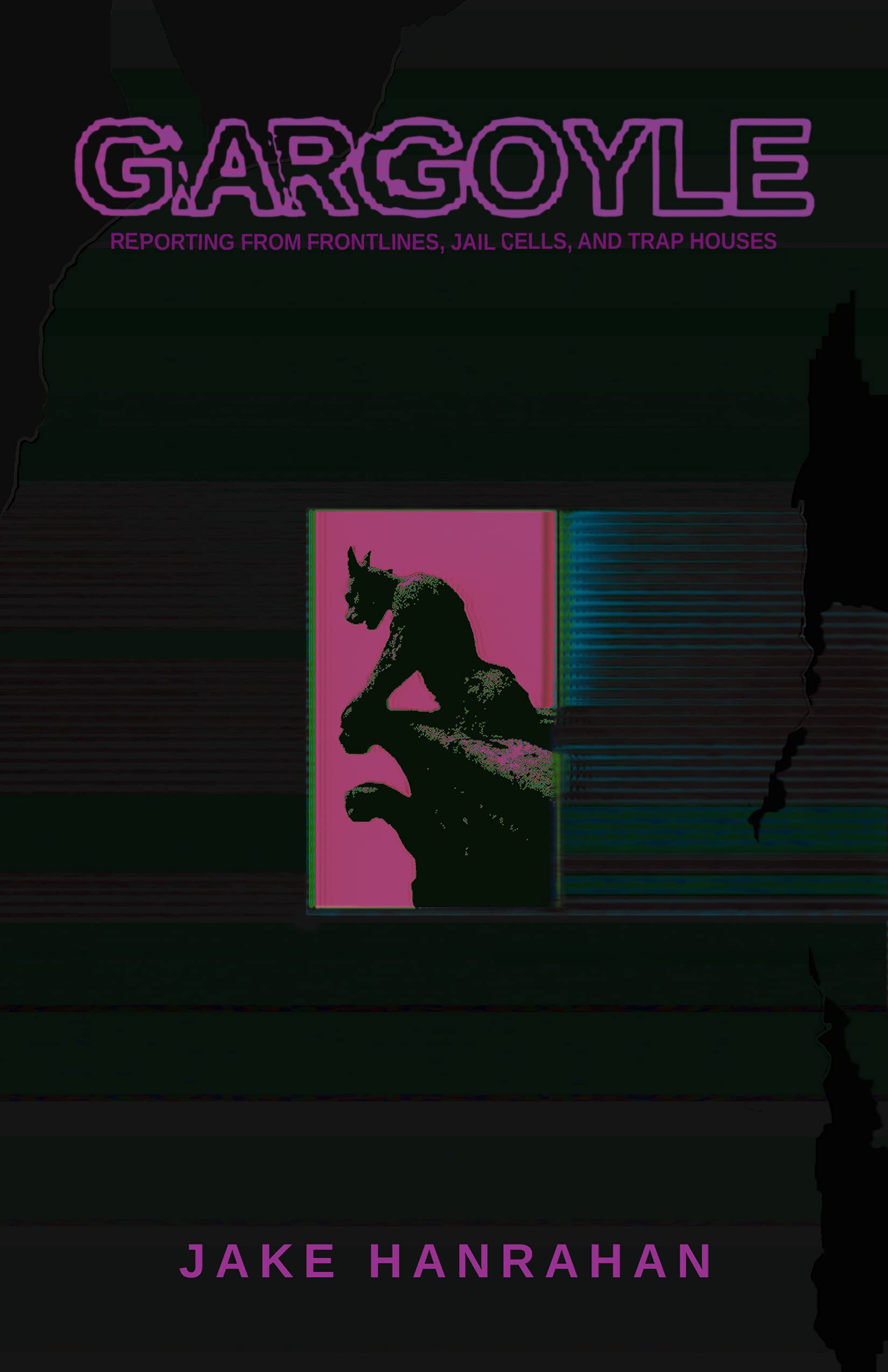 Gargoyle: Reporting from frontlines, jail cells, and trap houses (Kindle Edition)