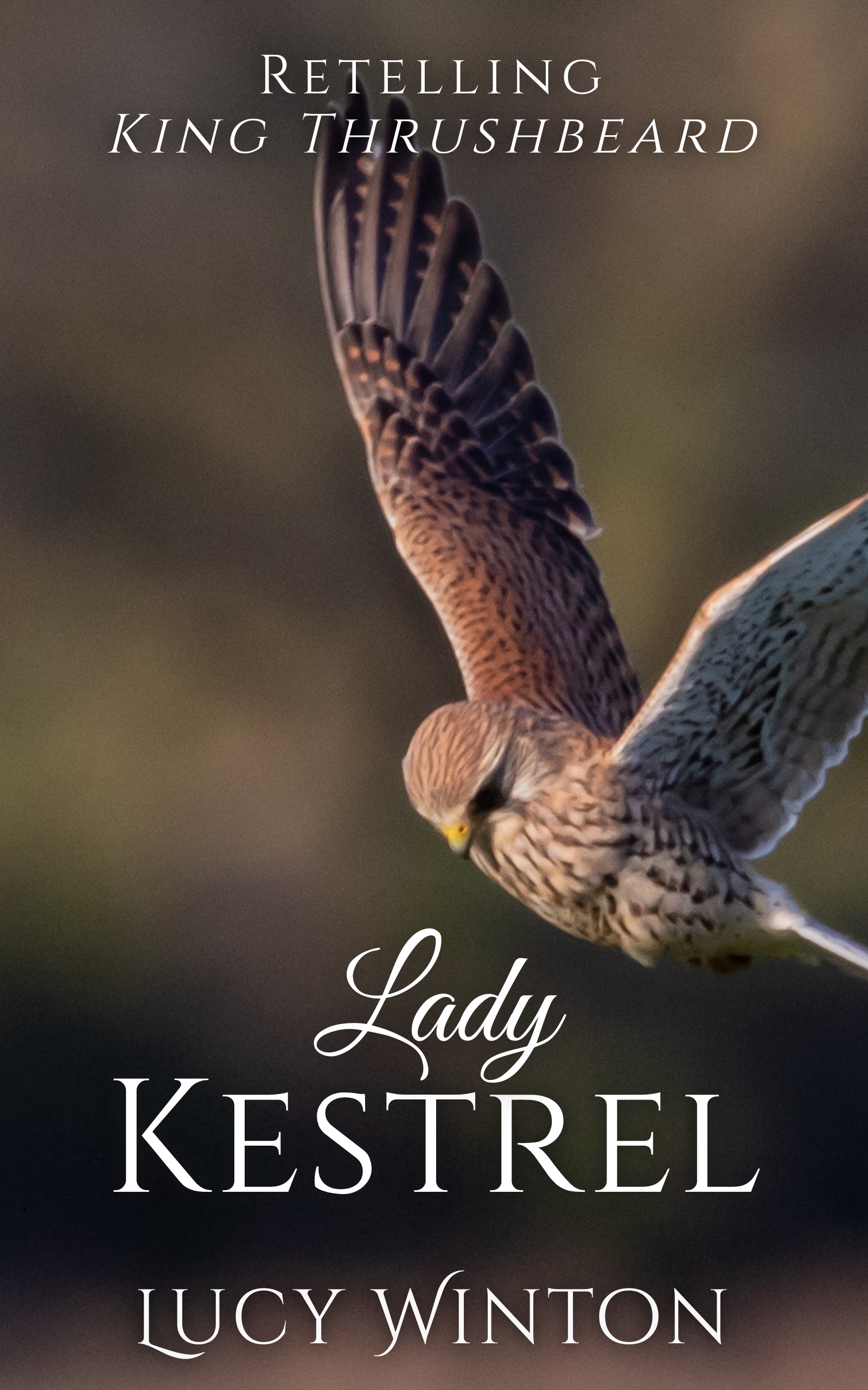 Lady Kestrel: Retelling 'King Thrushbeard' (Tales of Askarr, #2)