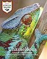 Chameleons: Junior Field Guide
