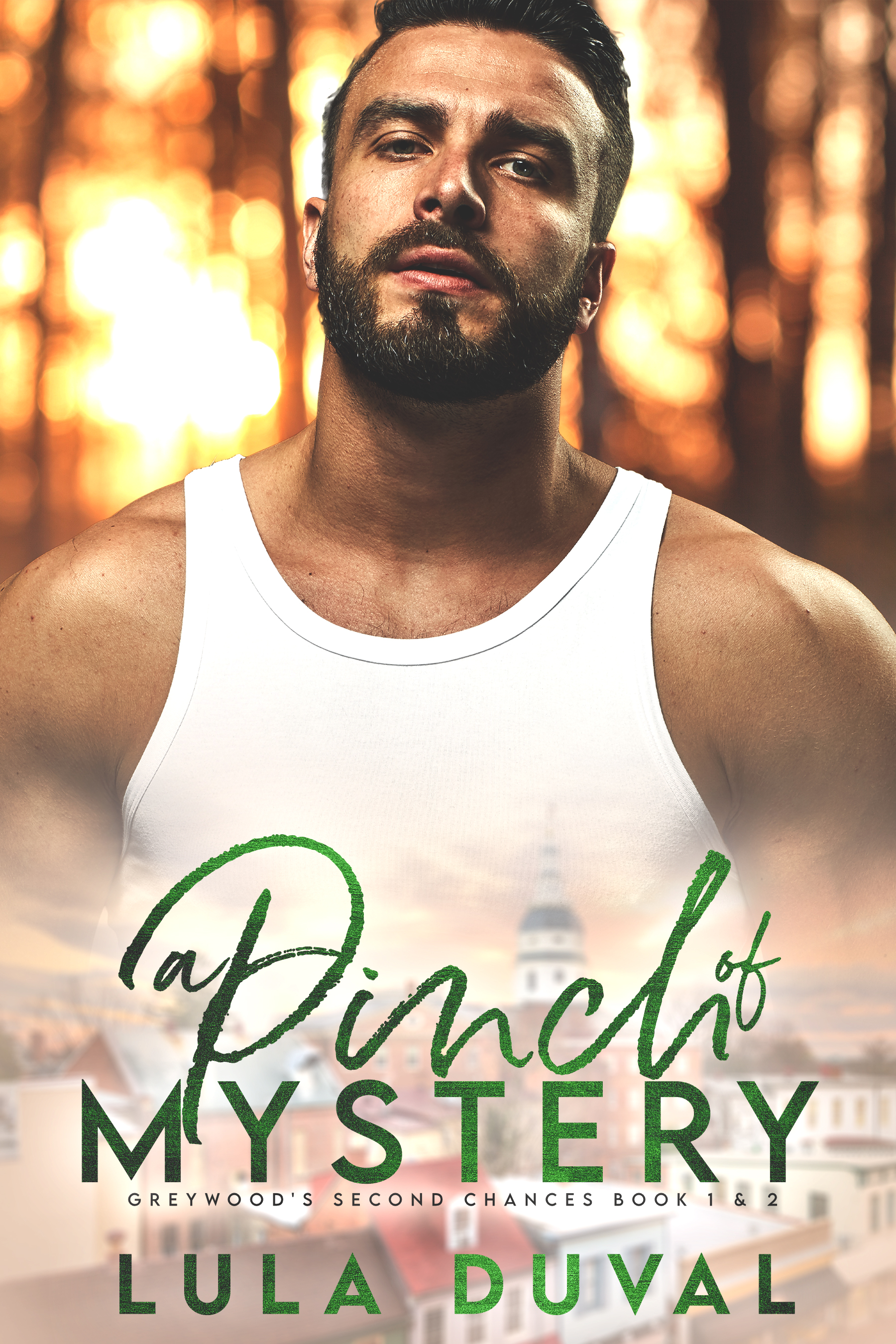 A Pinch of Mystery (Kindle Edition)