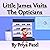 Little James Visits The Opticians (Little James' Big Adventures)
