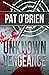 Unknown Vengeance by Pat   O'Brien