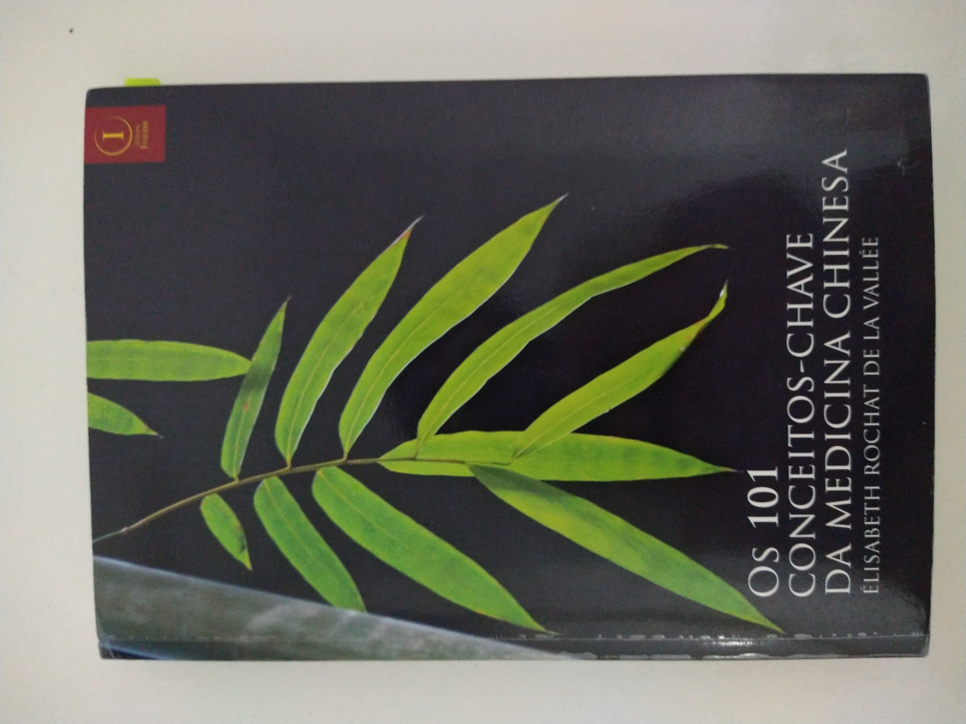 Os 101 conceitos-chave da medicina chinesa (Paperback)