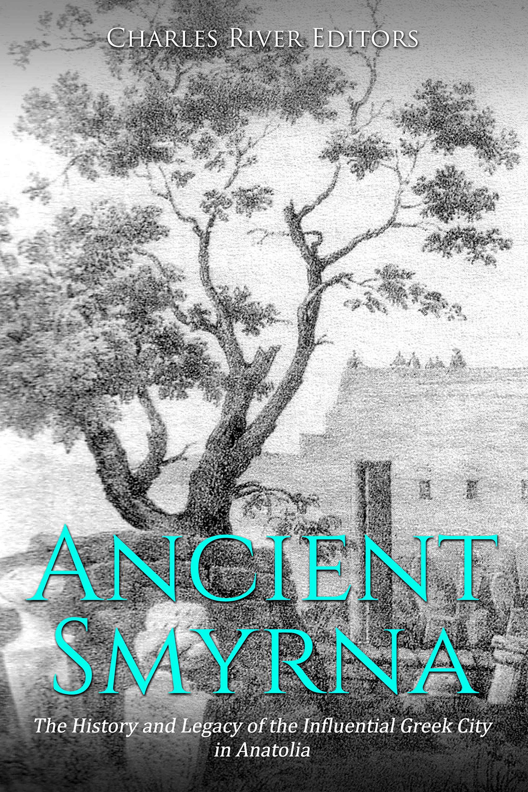 Ancient Smyrna: The History and Legacy of the Influential Greek City in Anatolia (Kindle Edition)
