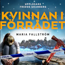 Kvinnan i förrådet (Torbjörn Frisk, #2)