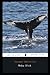 Moby-Dick By Herman Melville Annotated Novel
