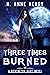 Three Times Burned (The Rem...
