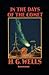 In the Days of the Comet Annotated