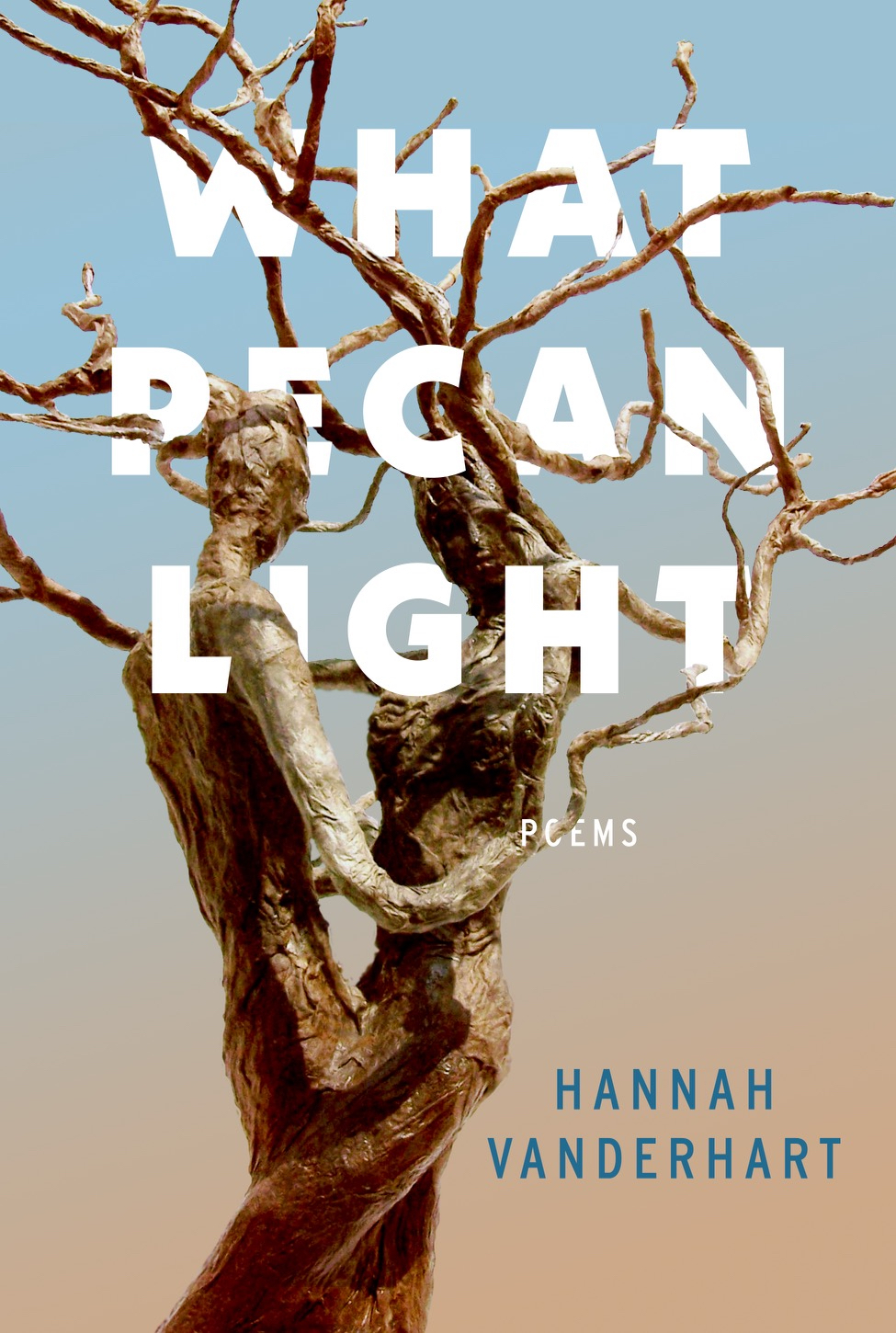 What Pecan Light (Paperback)