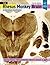 The Rhesus Monkey Brain in ...