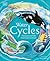 Water Cycles