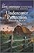 Undercover Protection (Love Inspired Suspense; Inspirational Romance)