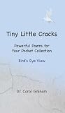 Tiny Little Cracks: Powerful Poems for Your Pocket Collection: Bird's Eye View