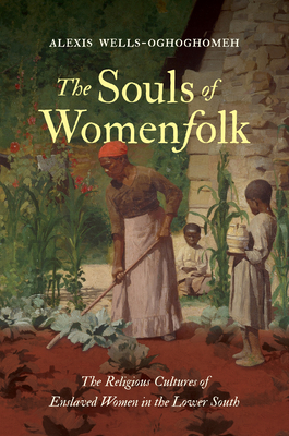 The Souls of Womenfolk: The Religious Cultures of Enslaved Women in the Lower South (Hardcover)