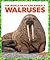 Walruses (The World of Ocean Animals)