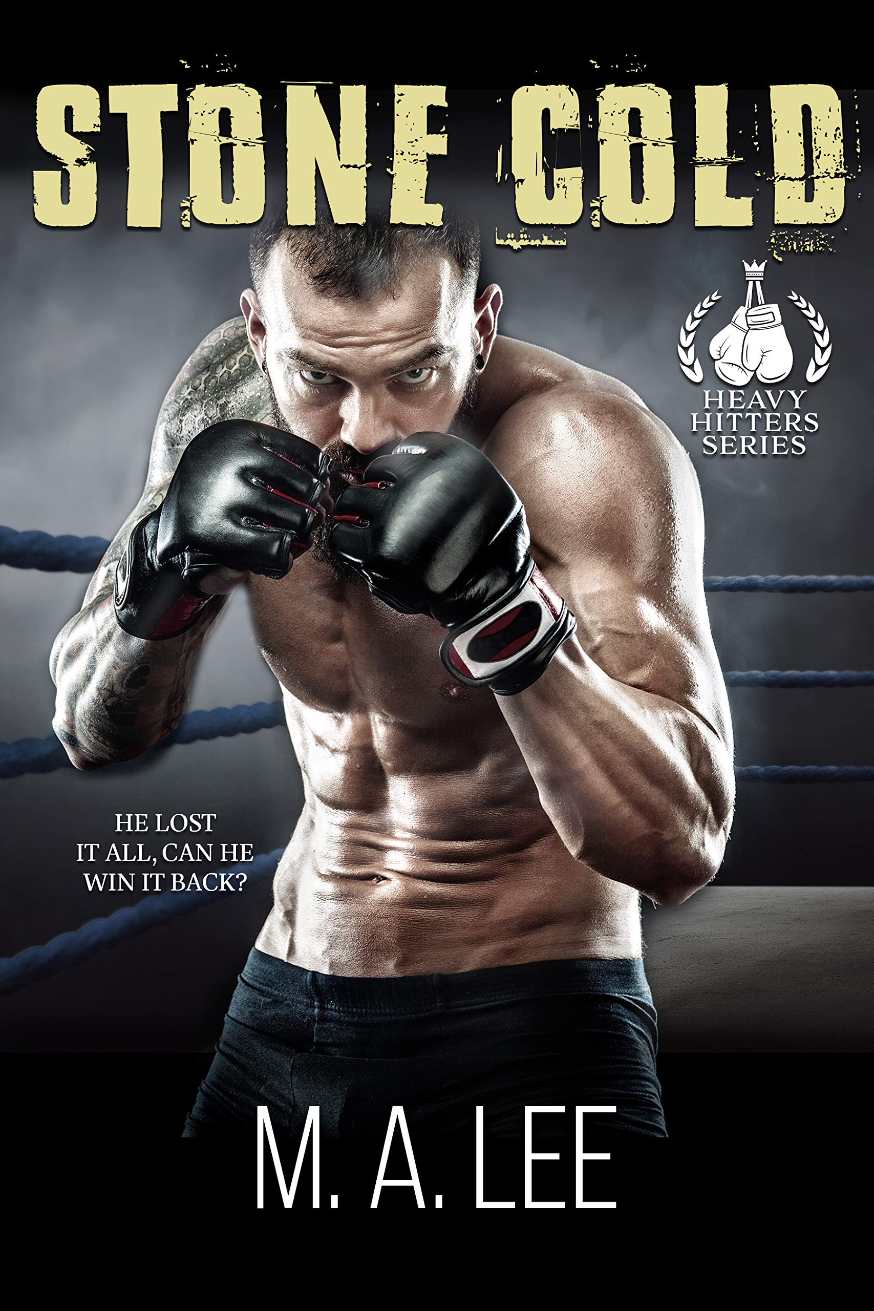 Stone Cold (The Heavy Hitters Series)