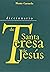 Diccionario de Santa Teresa de Jesús
