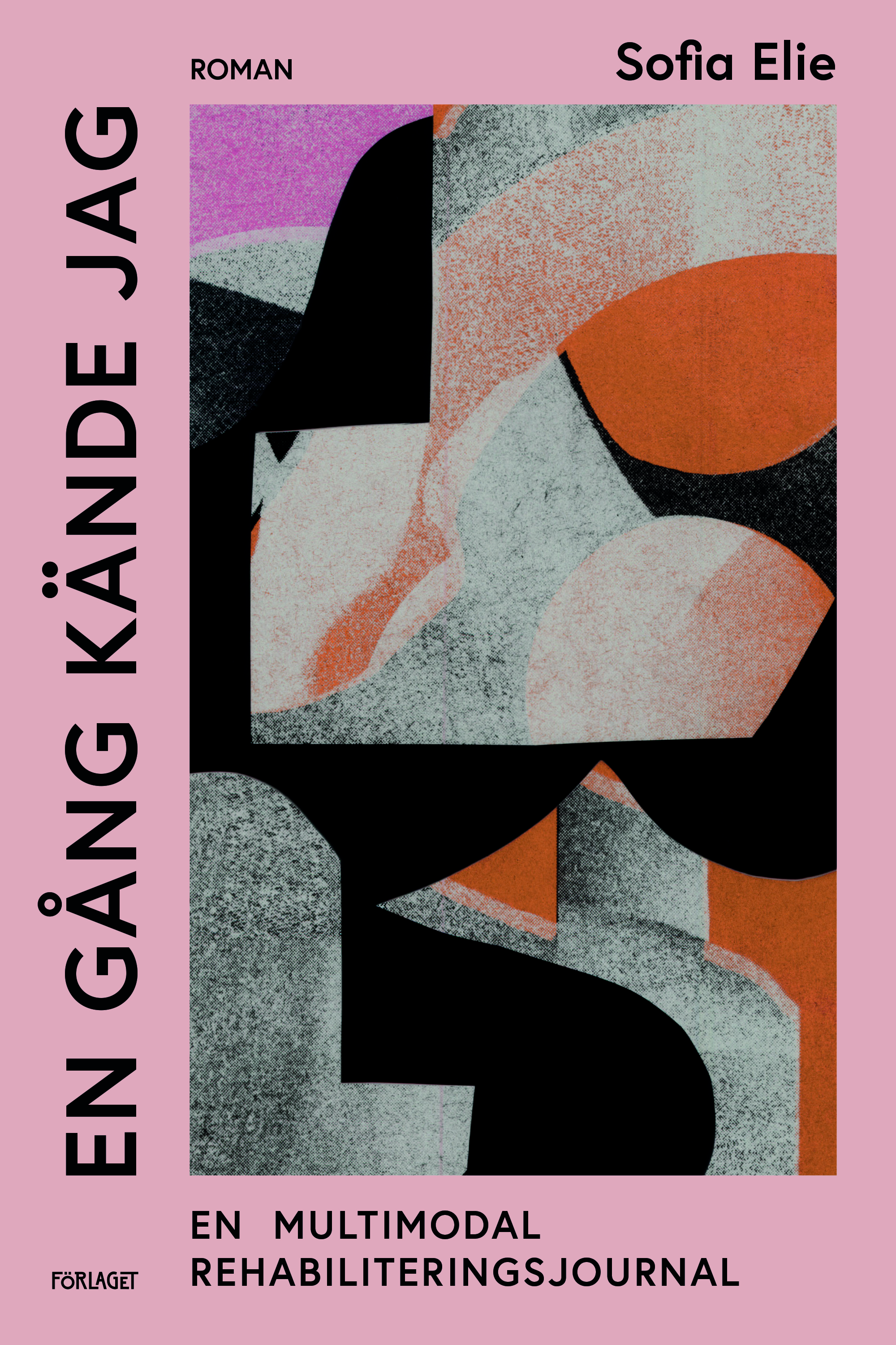 En gång kände jag - En multimodal rehabiliteringsjournal (Hardcover)