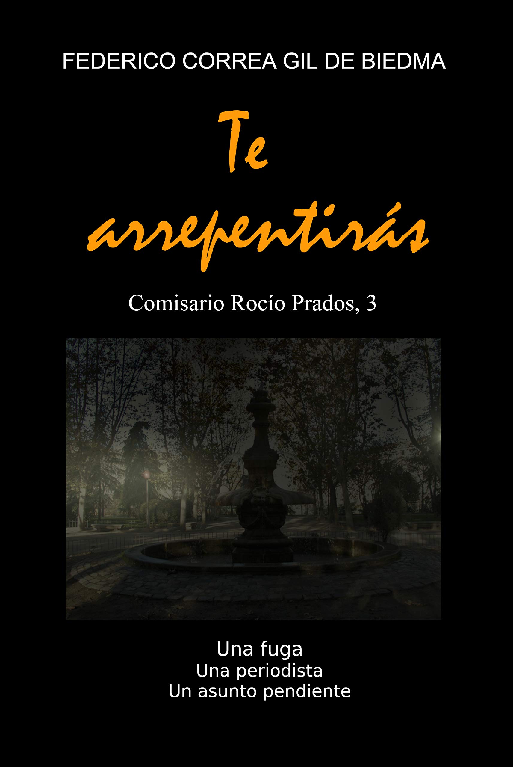 Te arrepentirás (Comisario Rocío Prados, #3)