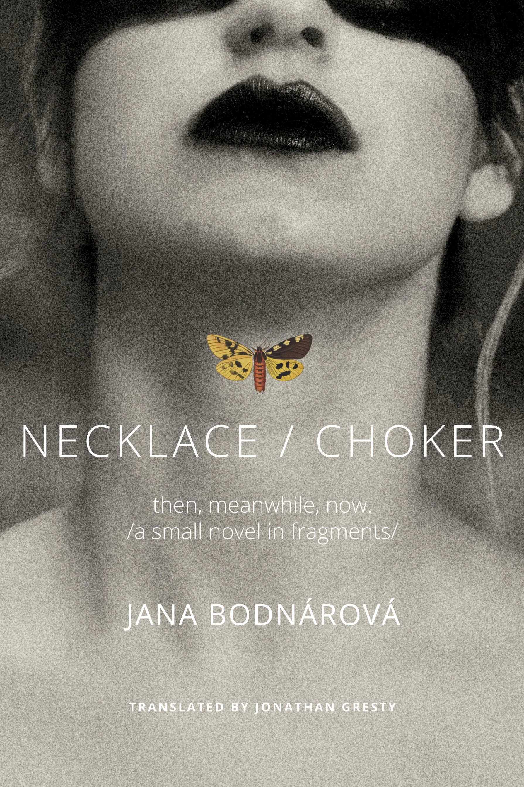 Necklace/Choker: then, meanwhile, now./a small novel in fragments/ (The Slovak List)