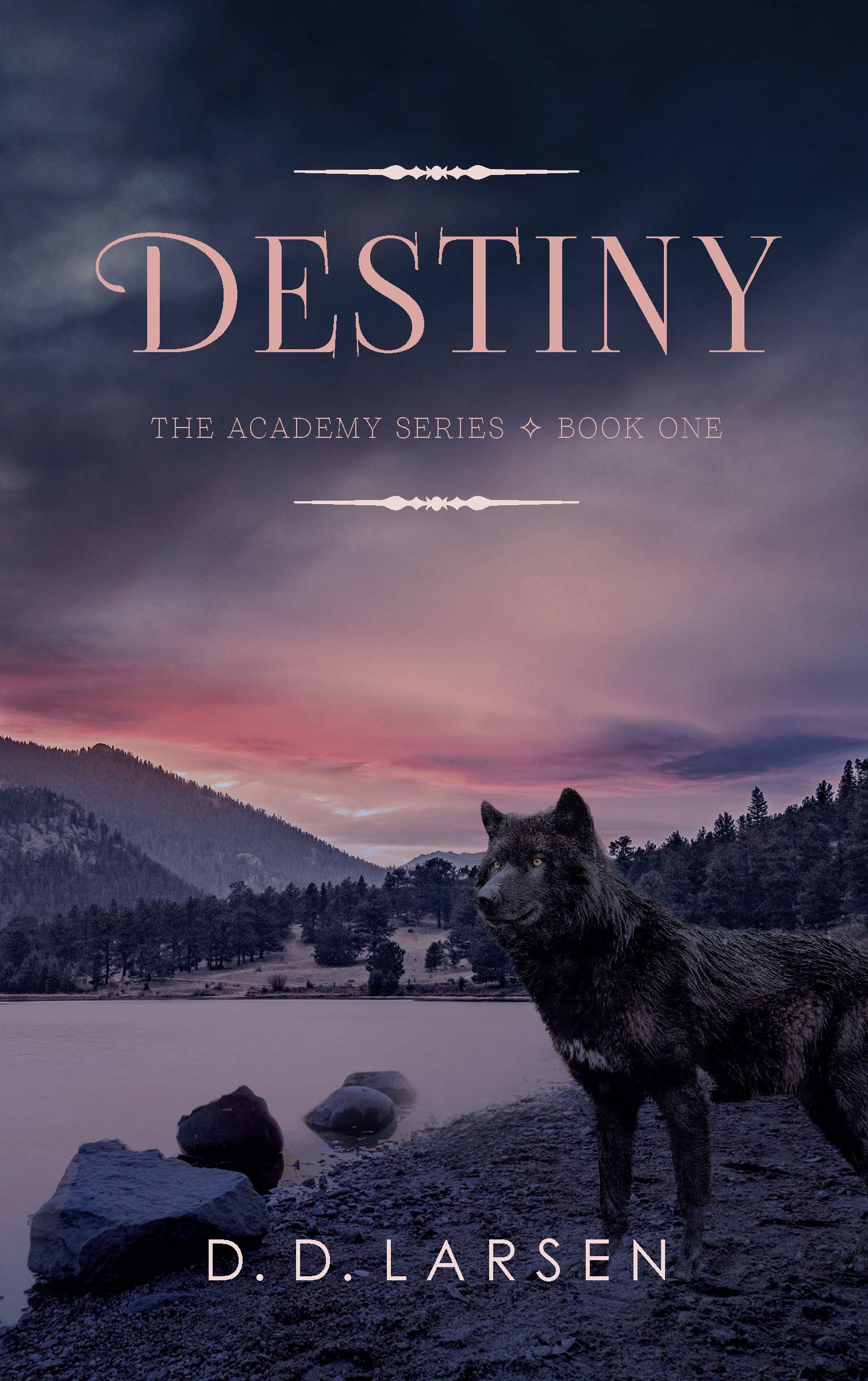Destiny (The Academy, #1)