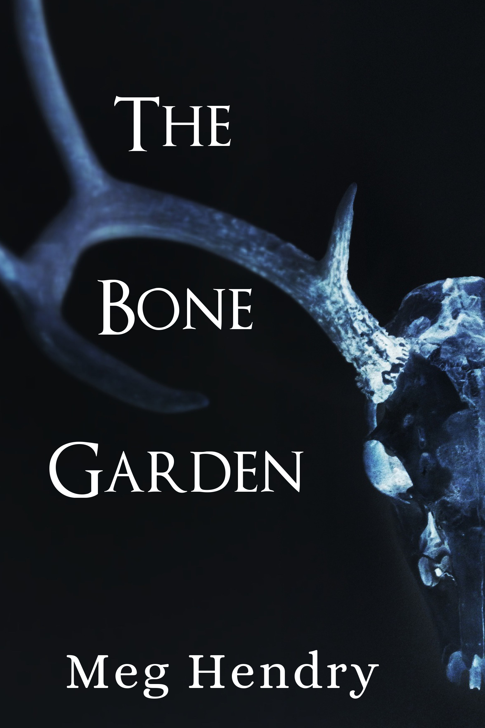The Bone Garden (These Sacred Bones, #1)