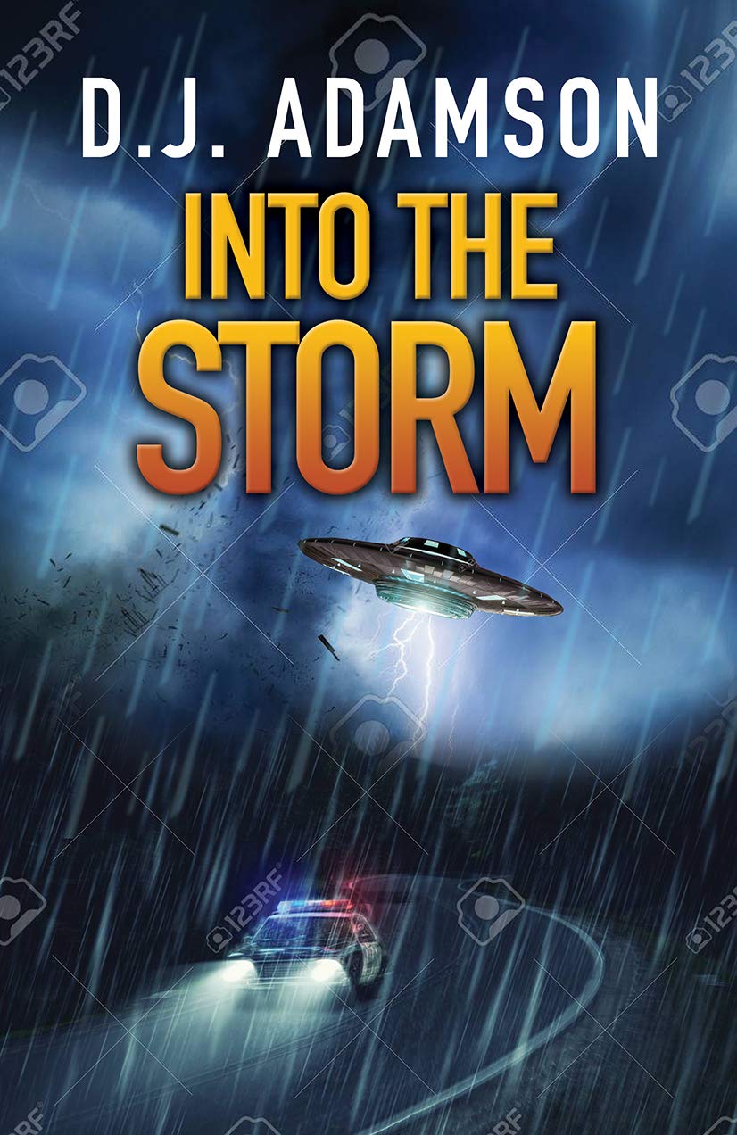 Into the Storm (Kindle Edition)