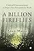 A Billion Fireflies : Criti...