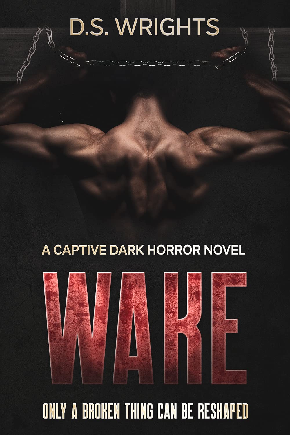 Wake (Kindle Edition)