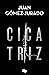 Cicatriz