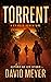 Torrent (Cy Reed Adventures...