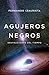 Agujeros Negros: Destructores del Tiempo