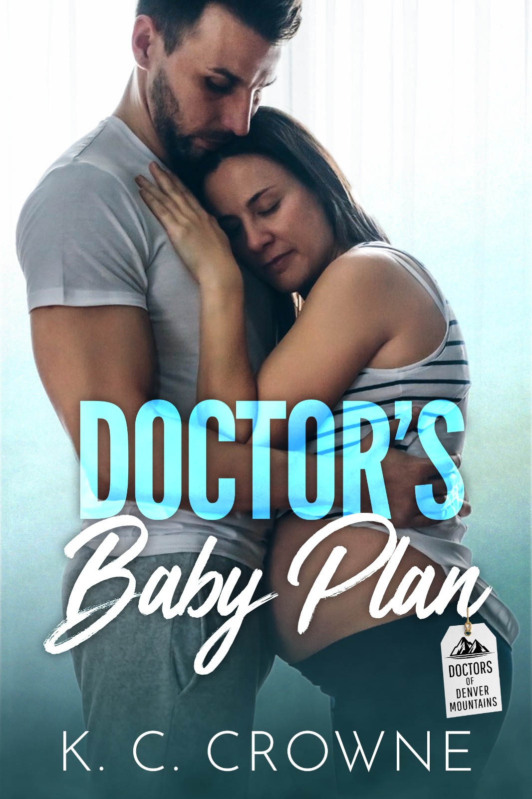 Doctor's Baby Plan (Doctors of Denver, #5)