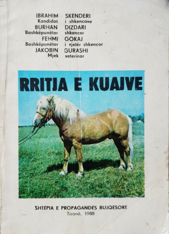 Rritja e kuajve