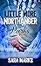 A Little More Northanger Parks (21st Century Austen) by Sara Marks