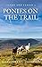 Ponies on the Trail (Sandy and Fergus Book 2)